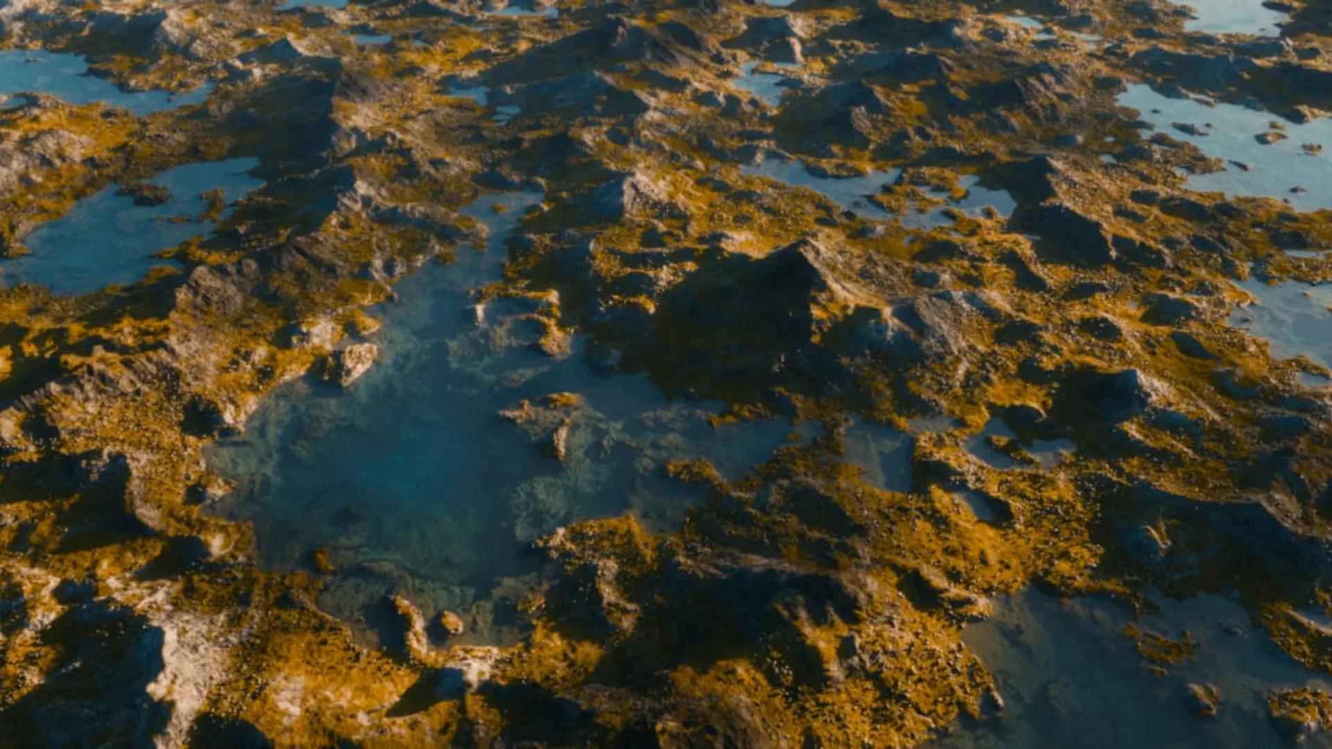 The Nature Generator — gallery image 1